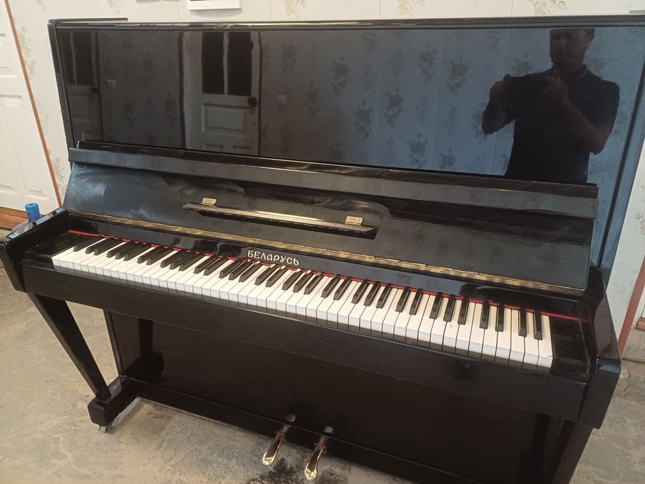 Беларусь новом состояние