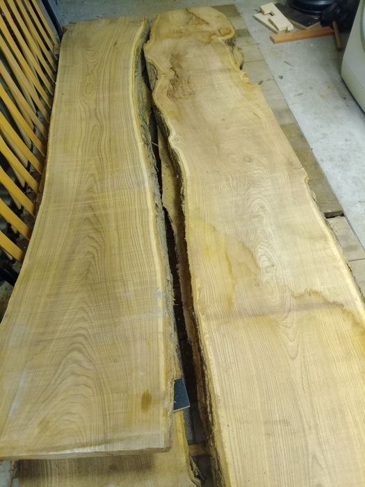 Талпи Японска Акация