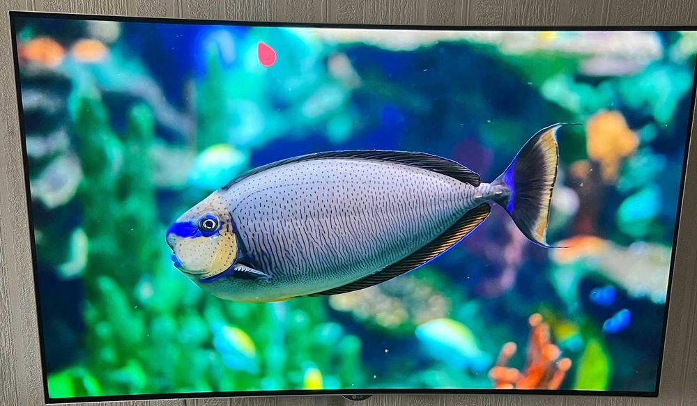 Телевизор LG OLED 55EG920V