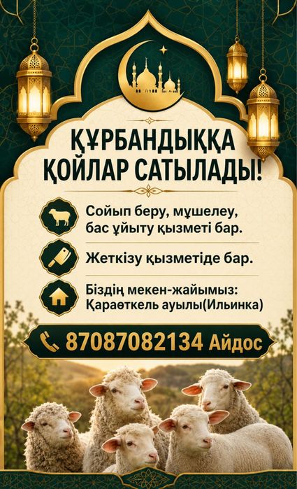 Кой Курбан Айтка