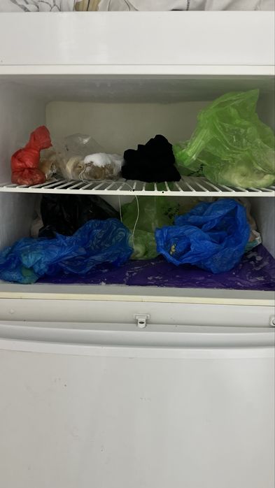 Бош холодильник+ морозильник