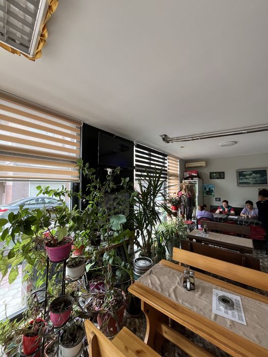 Дава се под наем Заведение в Пловдив, Каменица 2 - 183 кв.м за 1495.83 € - Снимка #6