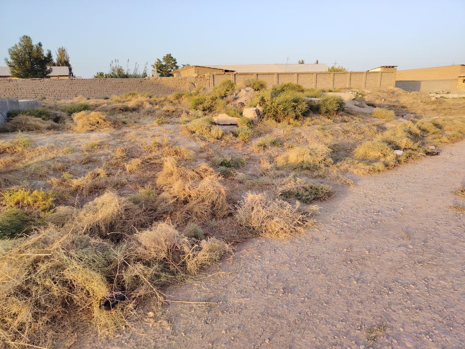 Срочнига участка сотилади!!!