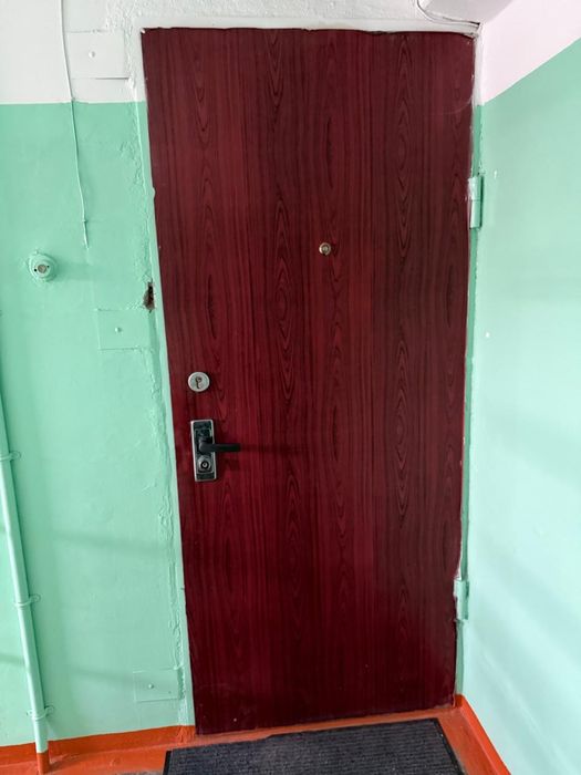 Входная железная дверь