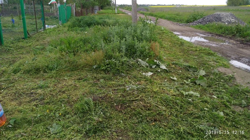 Косене  на трева и други градинарски  услуги