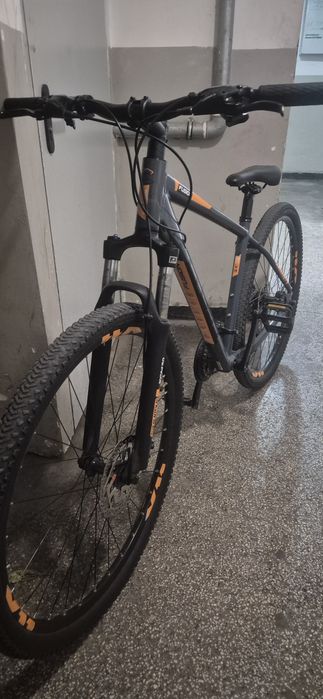 . Cross fussion 9