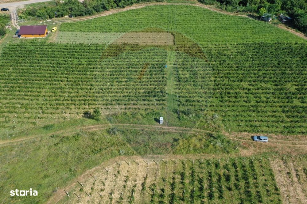 Oportunitate de investitie - Teren de vanzare I 4 ha I certificat ECO