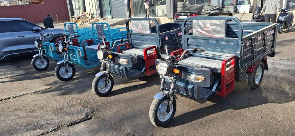 Muravek bor.         .