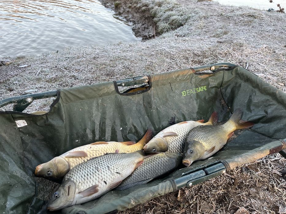 Peste viu CRAP si AMUR