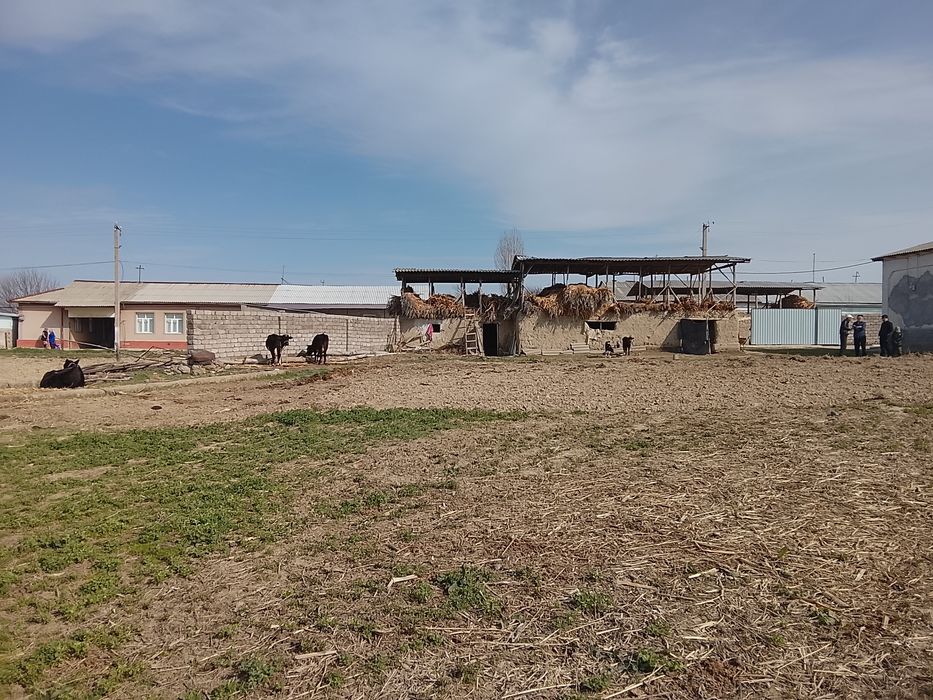 18 сотих йер учаскамиз сотувга чикти