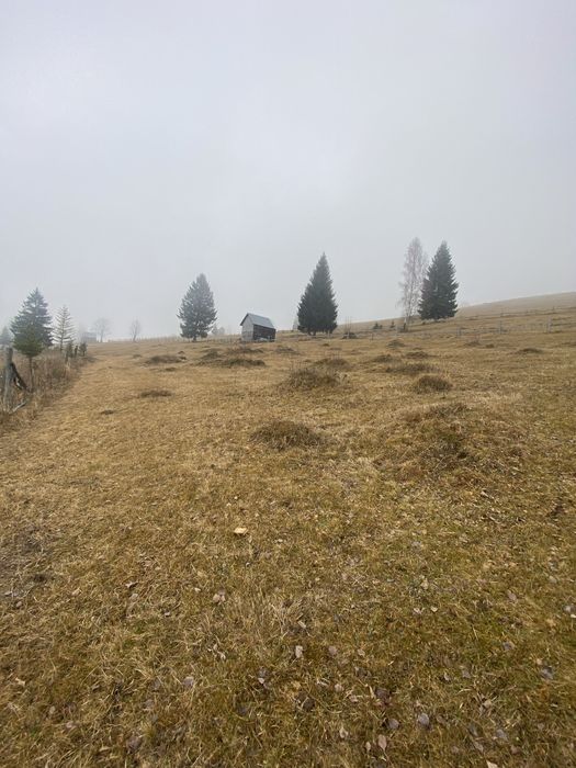 Vand teren 5000 de m patrati, Comuna Breaza, Jud Suceava