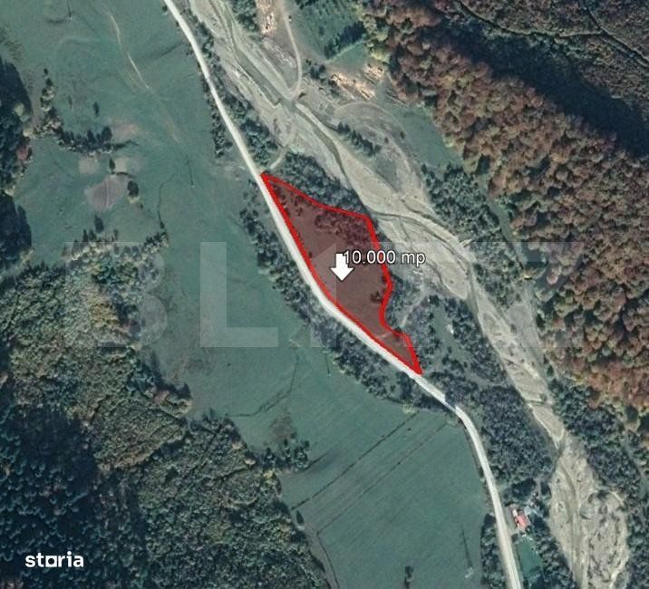 Teren 10.000 mp, Valea Zizinului