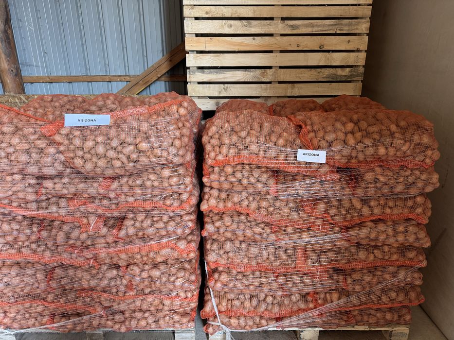 Cartofi samanta din Elita  si clasa A