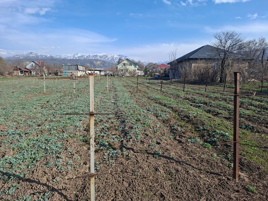 Продам участок 25 соток