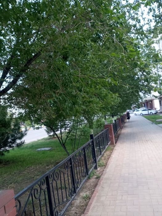 107 мк колани каторида