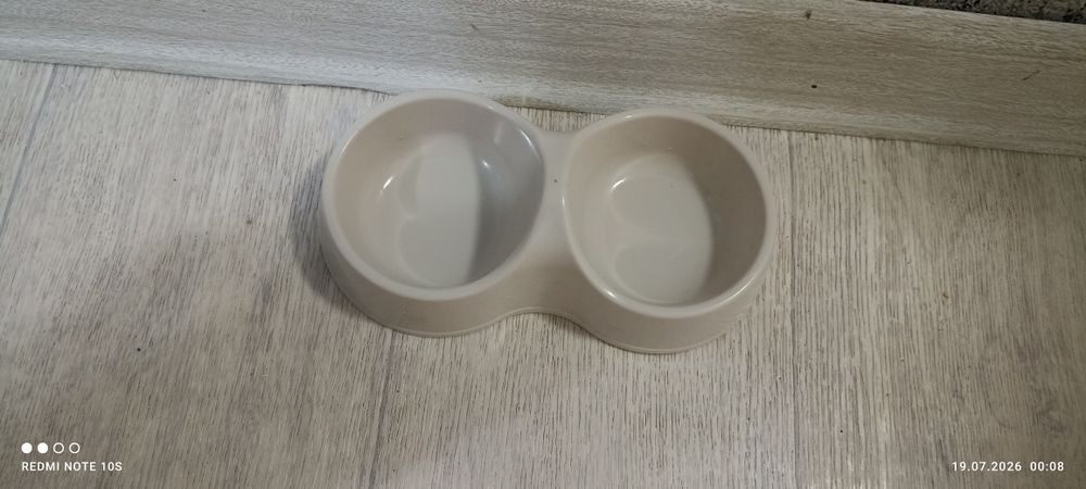 Продам котенка мальчик