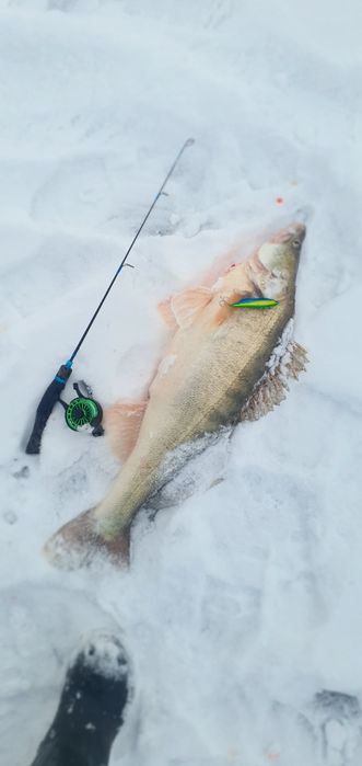 Эхолот Практик 8 PRO WI-FI