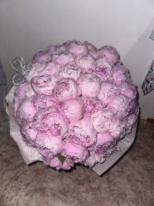 Цветы пионы Алматы