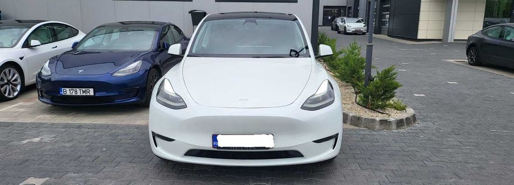 Vand Tesla Model Y Performance 2024