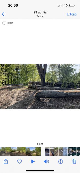 Lemne de foc de vânzare