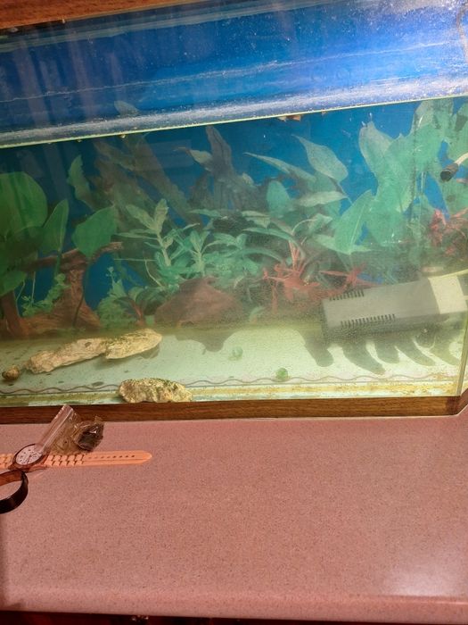 Продам аквариум с рыбками