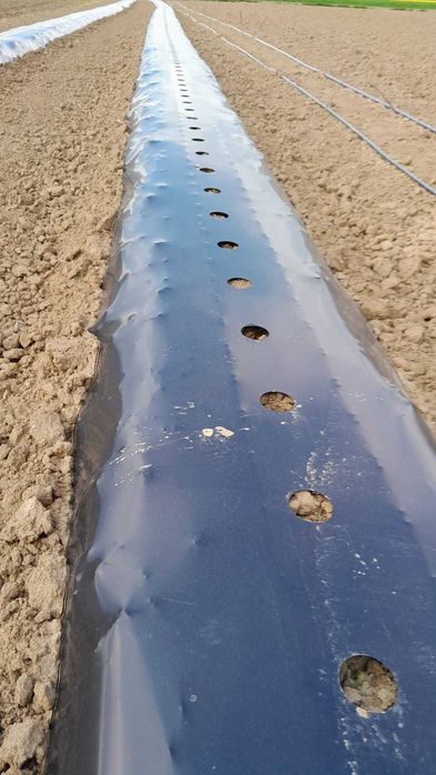 Masina bilonat cu folie mulcire