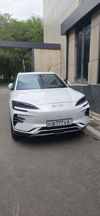 Byd champion 2025 restyle