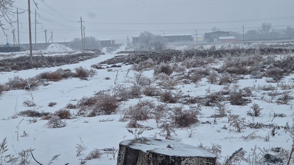 Участок 50 соток