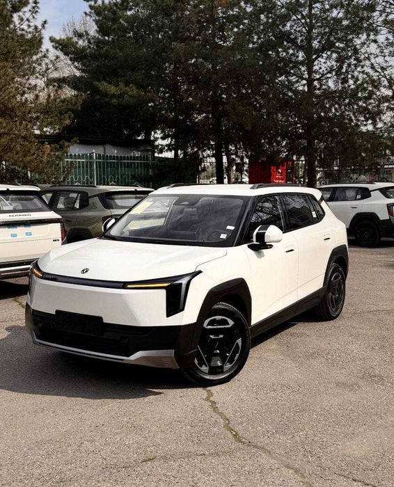 dongfeng nammi 06 banksiz
