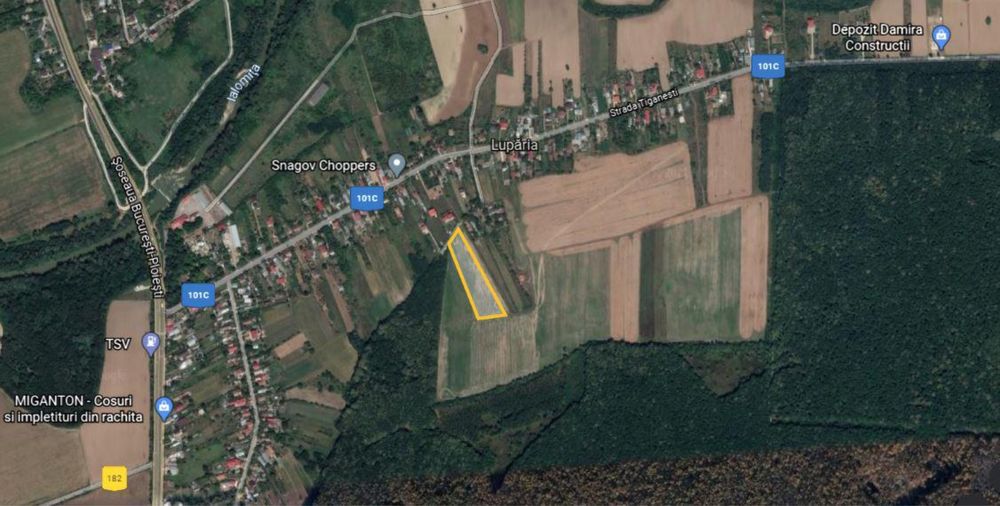 Teren intravilan langa padurea snagov 7500mp