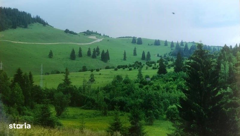 teren intravilan, in Izvoru Muresului, jud. Harghita, de 24000mp