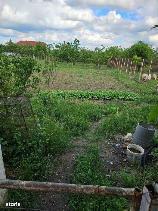 Casa cu 1566 mp teren in sat Mandruloc, com. Vladimirescu, jud. Arad