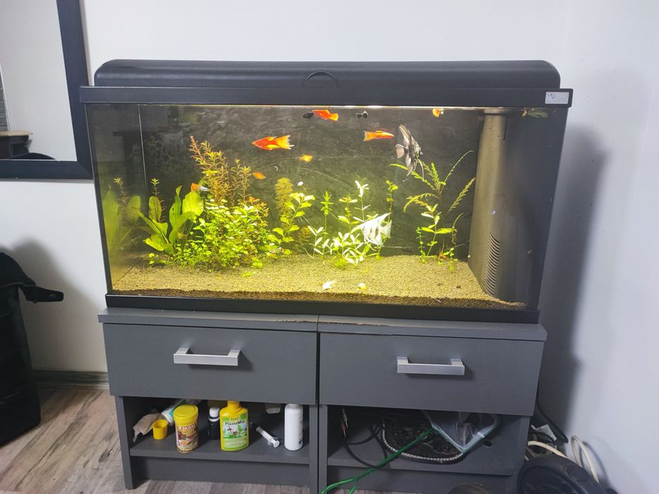 Acvariu 90l cu capac, accesorii, substrat (fara pesti)