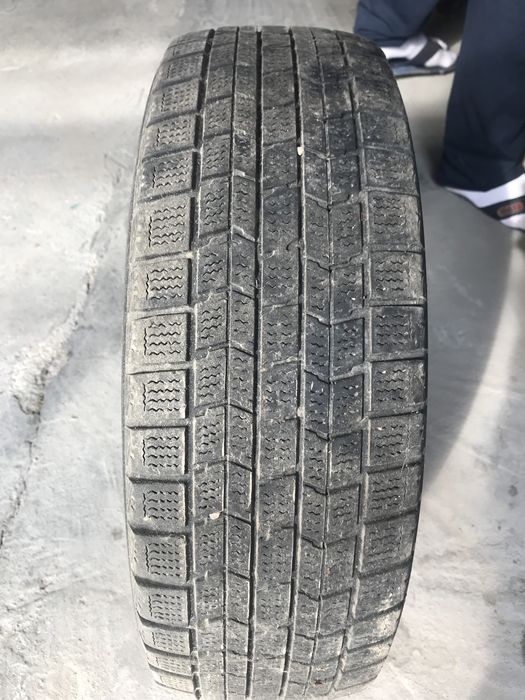 Продам резину данлоп