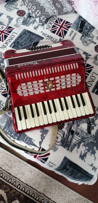 Acordeon parrot 32 basi