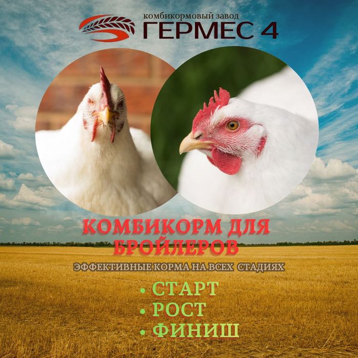 Комбикорм для всех направлений