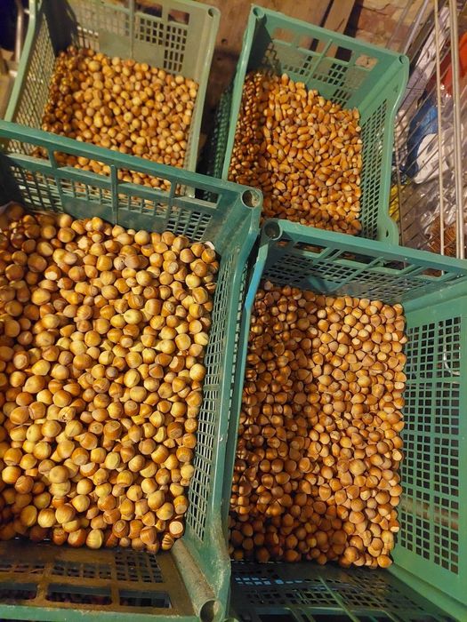 Продавам Лешници
