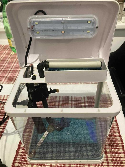 Аквариум за риби