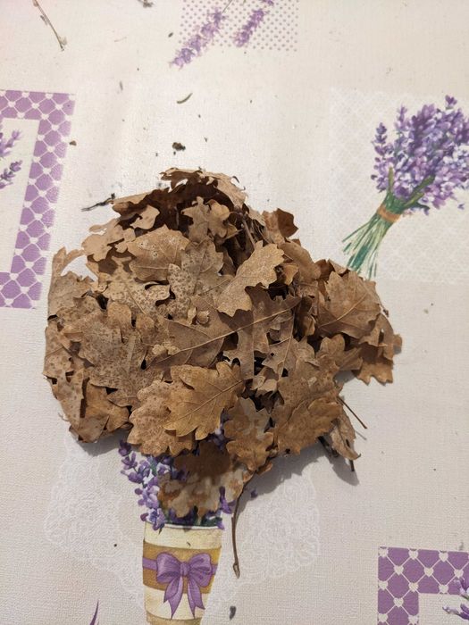 Клонки мъх жълъди шишарки за декоразия