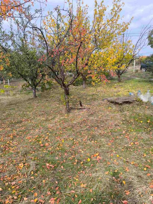 Продава се Къща в Шумен, Дивдядово - 1500 кв.м за 51 €/кв.м - Снимка #1