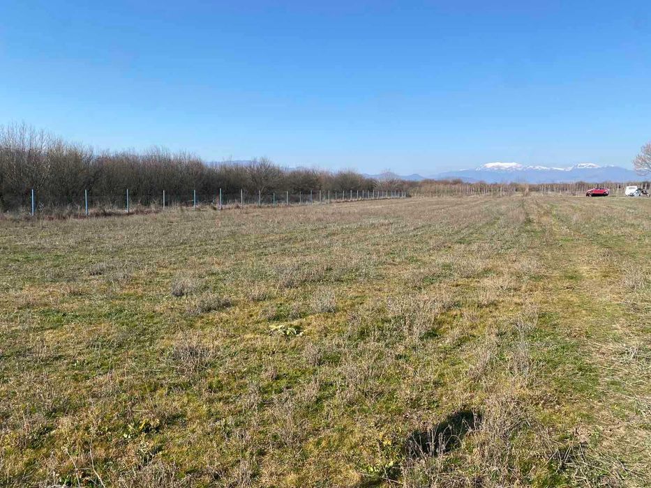 Продава се Парцел в с. Дъбене, Област Пловдив - 6000 кв.м за 6 €/кв.м - Снимка #4