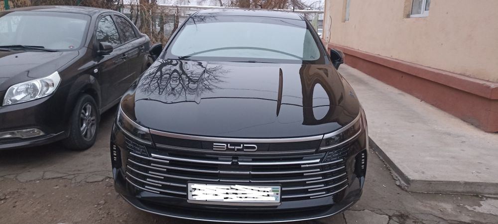 BVD Чазор 2023 Краска тозза 100%. 120 кмлиги.