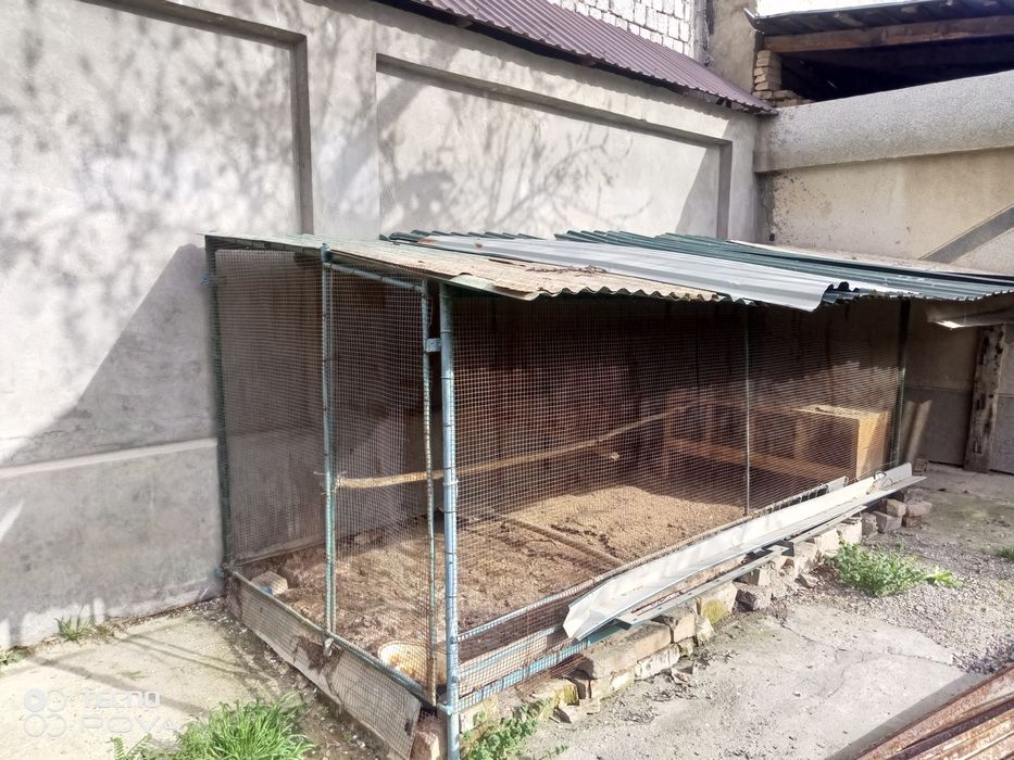 Tuvuq Xoʼroz boqish uchun qafas