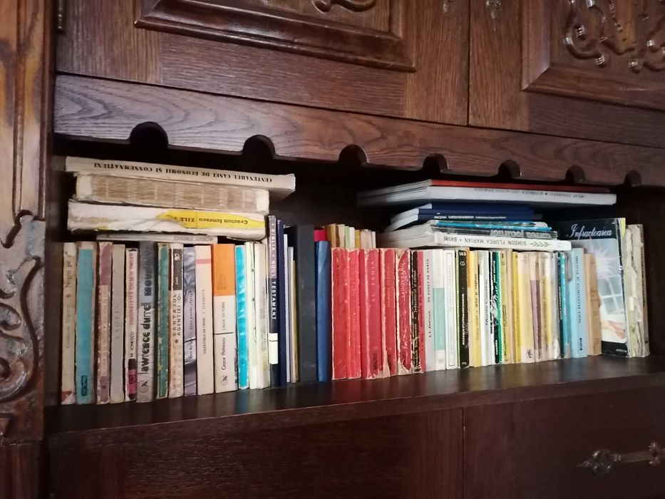 carti beletristica literatura diverse