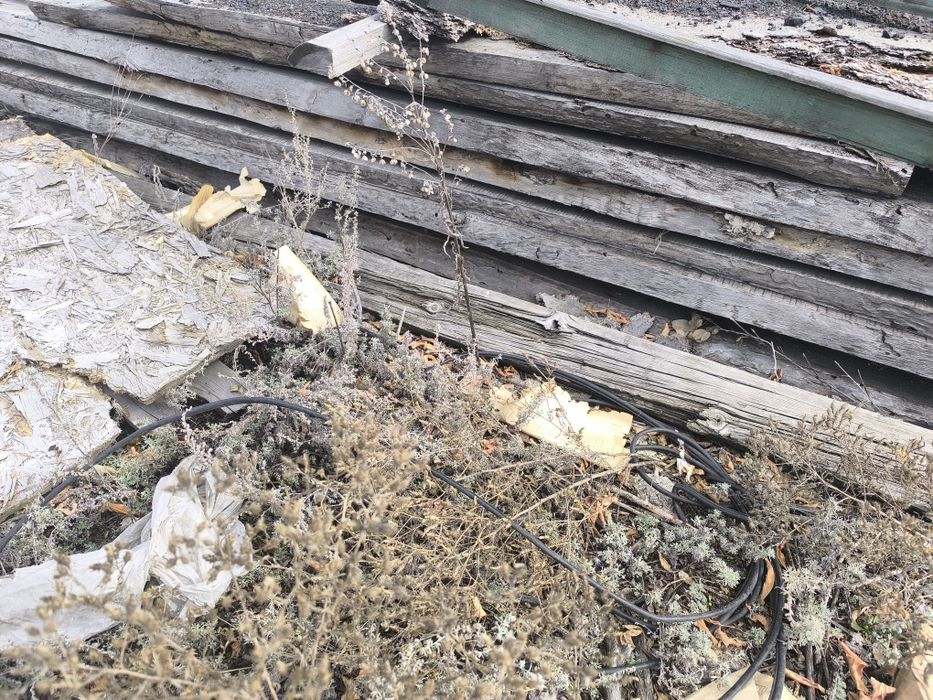 Доски хвойных пород