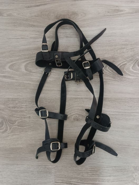 Стремена Павлика