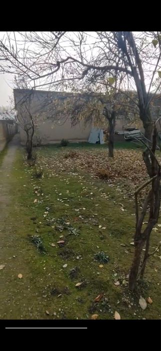 ПРОДАЕТСЯ Лимонария 9 соток йер Земля