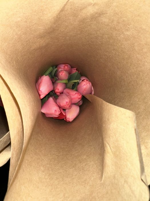 Тюльпаны оптом Голландские