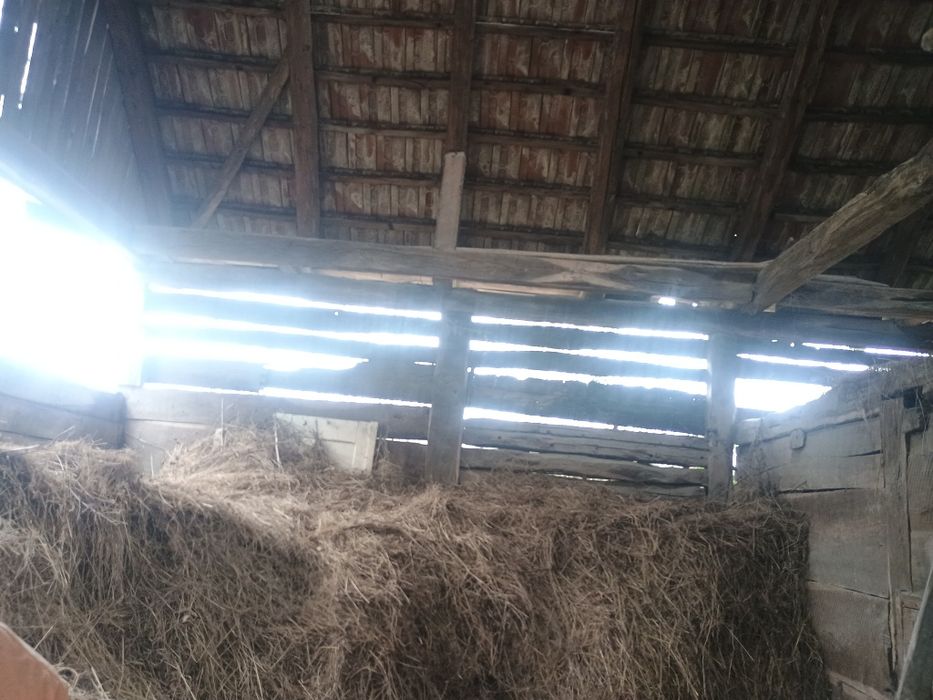 Șură de lemn stejar de vânzare