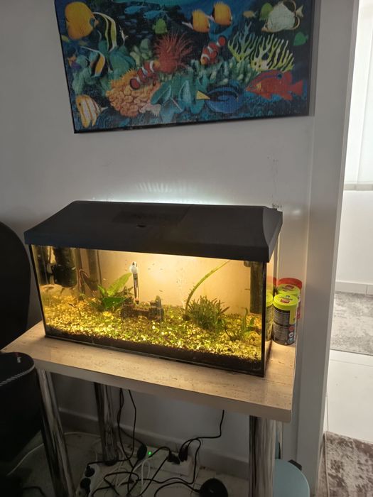 Acvariu capacitate 54 l